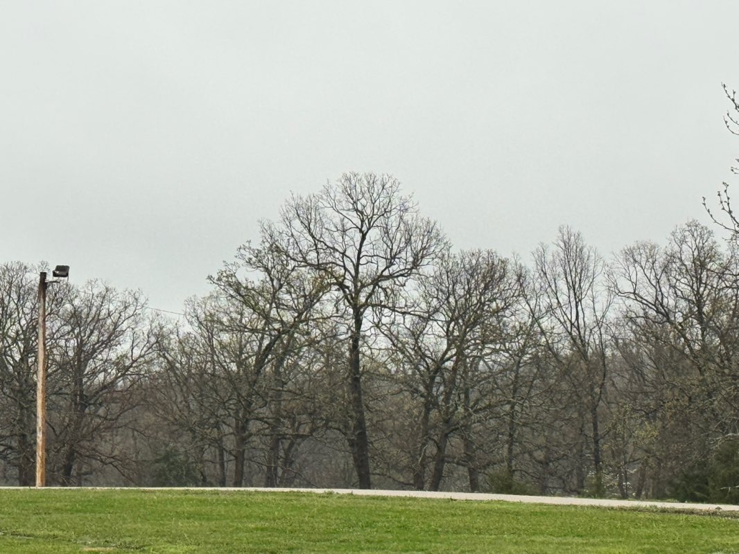 walking near me in Osage Beach City Park in spring