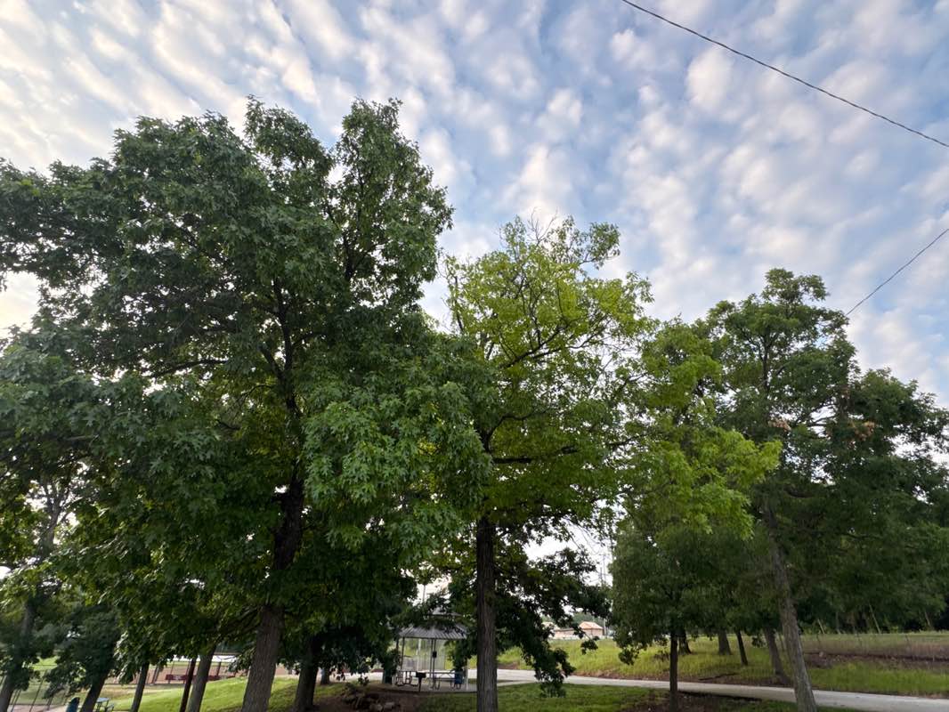 walking near me in Osage Beach City Park in summer