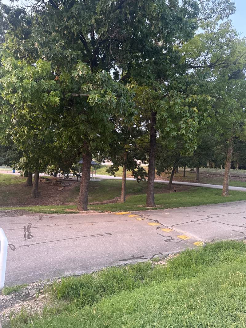 walking near me in Osage Beach City Park in summer