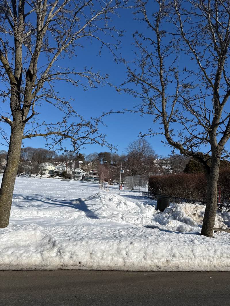 walking near me in Hickey Park in winter