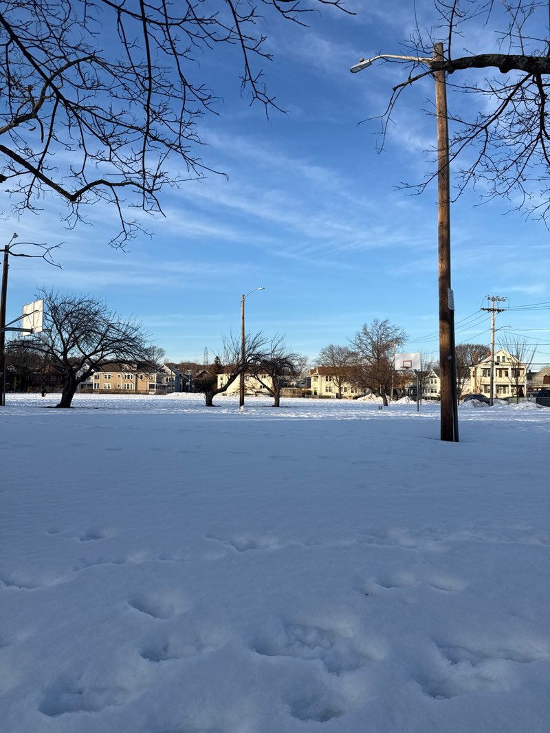 walking near me in Morrison Playground in winter