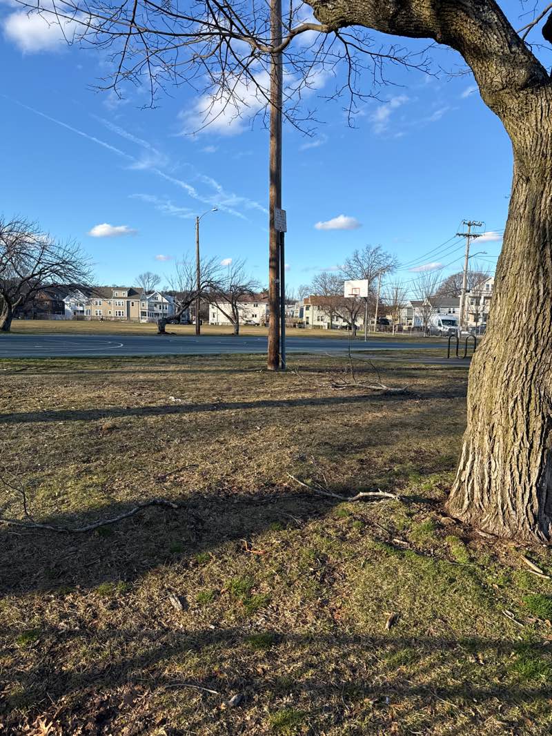 walking near me in Morrison Playground in spring