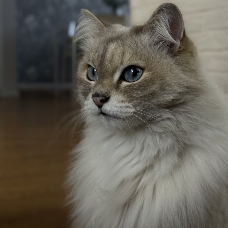 Марина profile