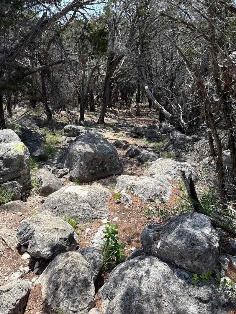 walking near me in Longhorn Cavern State Park in spring