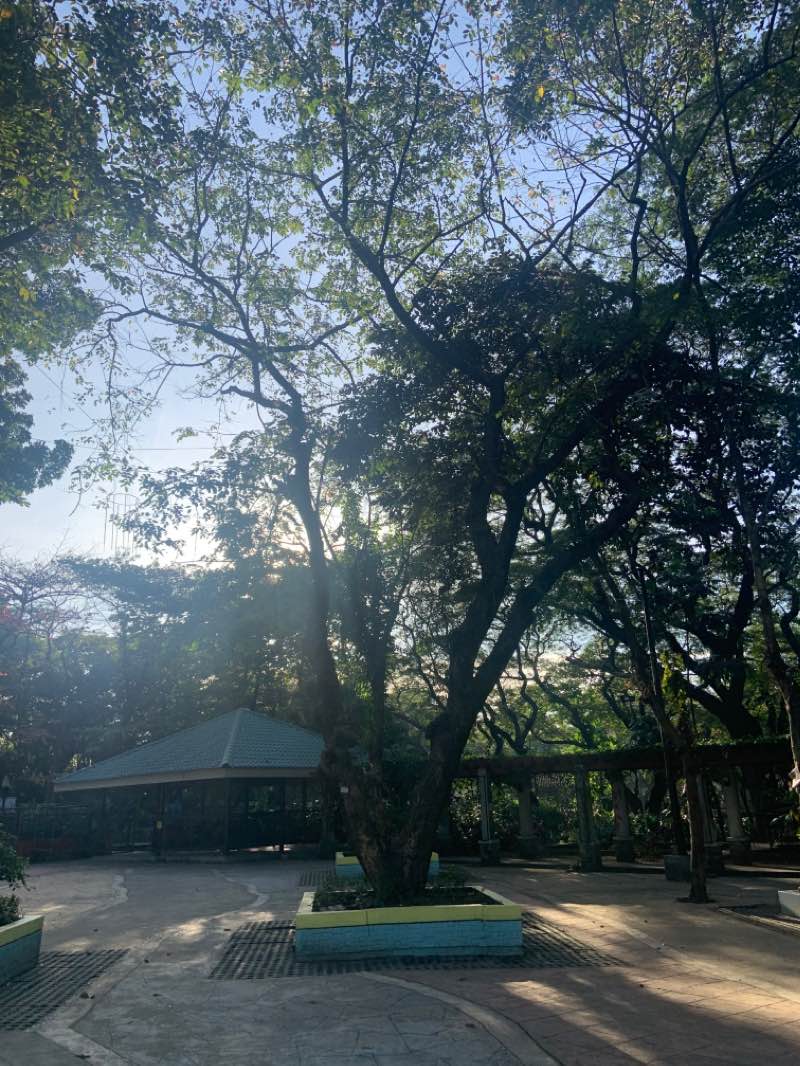 walking near me in Children's Park in winter