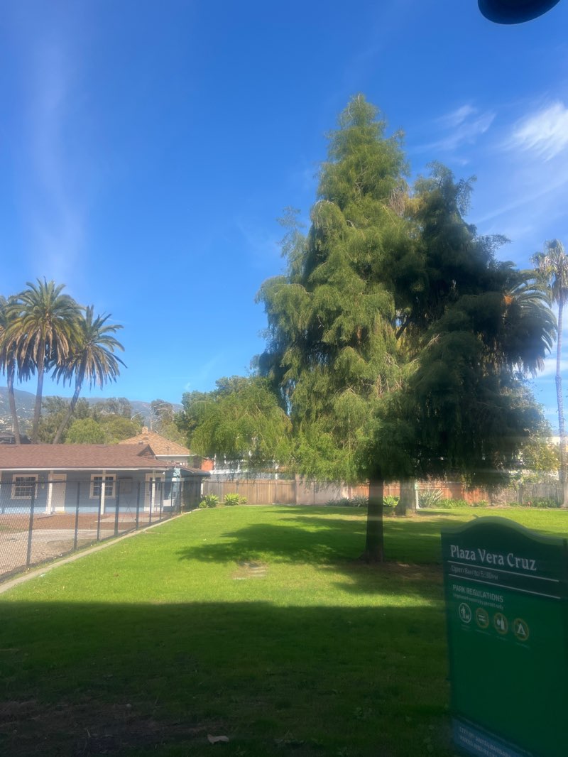 walking near me in Plaza de Vera Cruz in winter