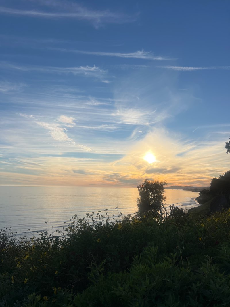 walking near me in Lookout Park in winter