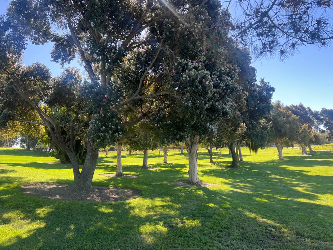 walking near me in Olivas Adobe Historical Park in spring