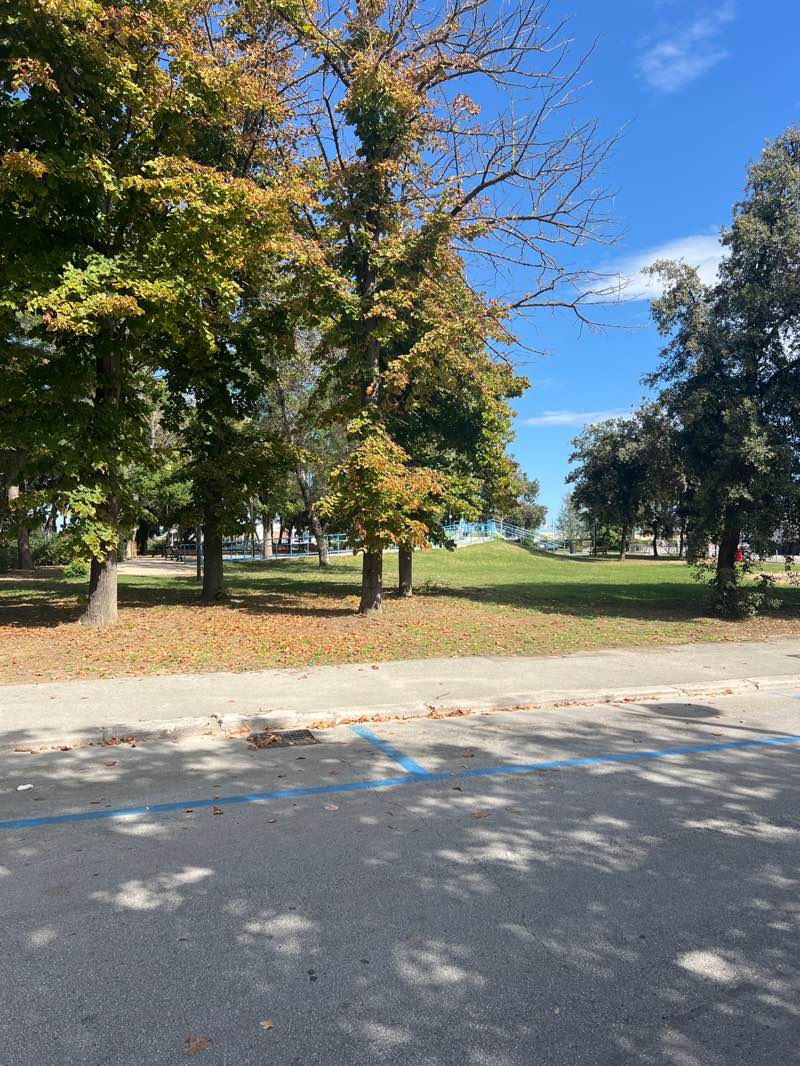 walking near me in Parco Federico Fellini in autumn
