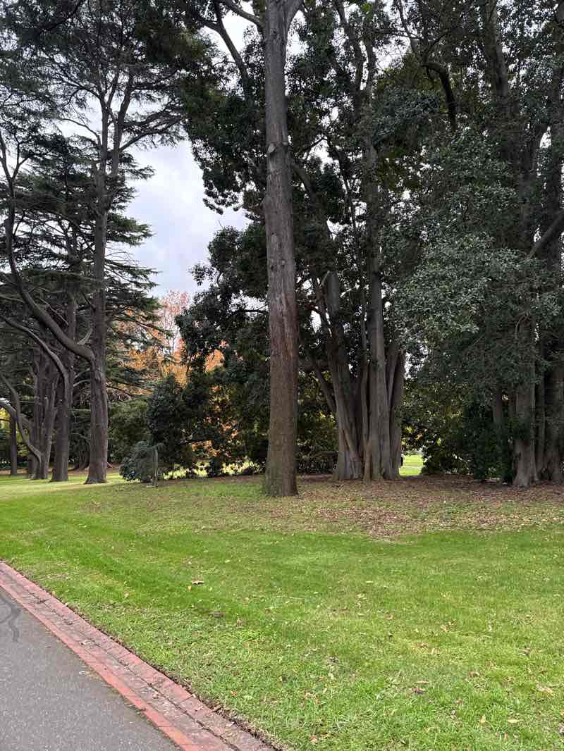 walking near me in Fitzroy Gardens in autumn