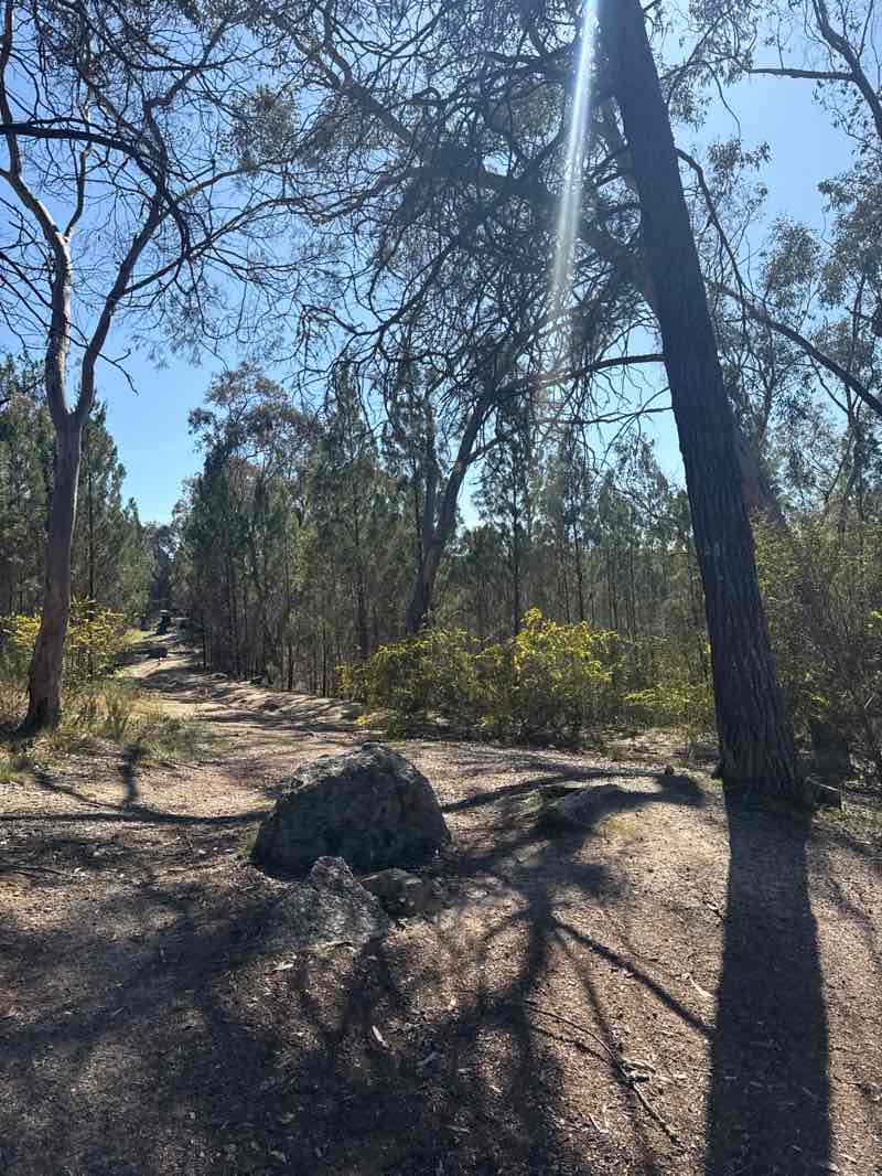 walking near me in Chiltern-Mt Pilot National Park in spring