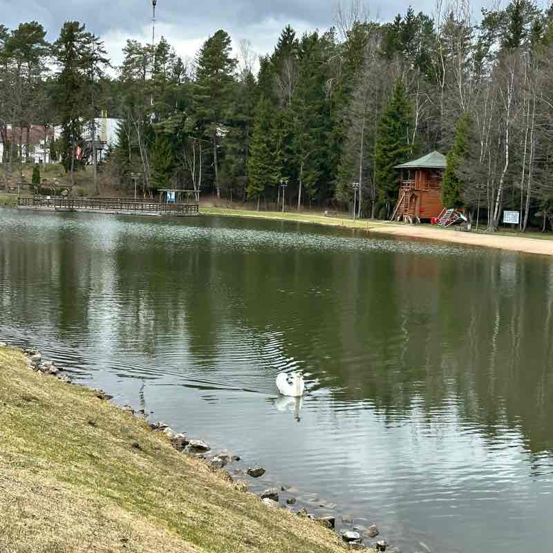 АЛЫЕ ПАРУСА ⛵🇷🇺 Galina post image
