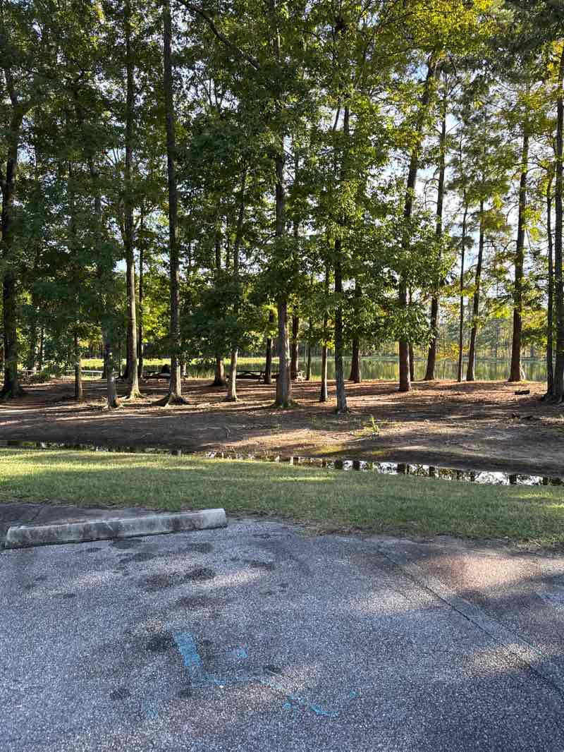 walking near me in Tom Triplett Park in autumn