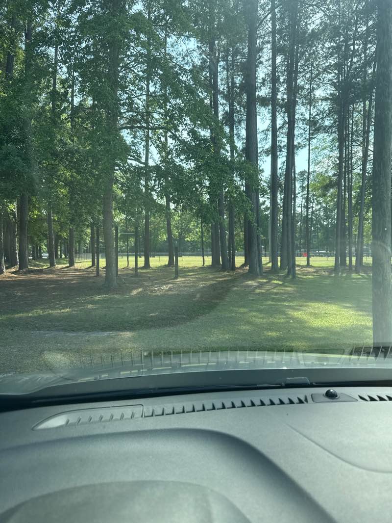 walking near me in Timber Trail Park in spring