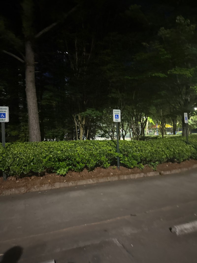 walking near me in Cherry Park in spring