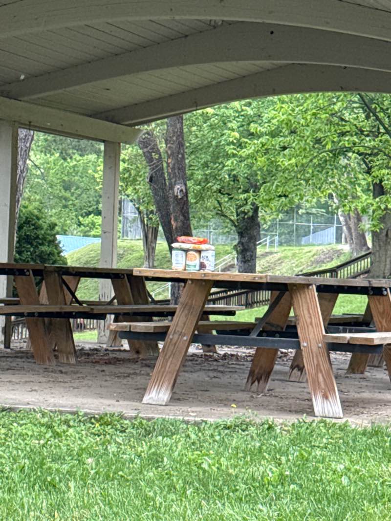 walking near me in Follansbee Park in spring