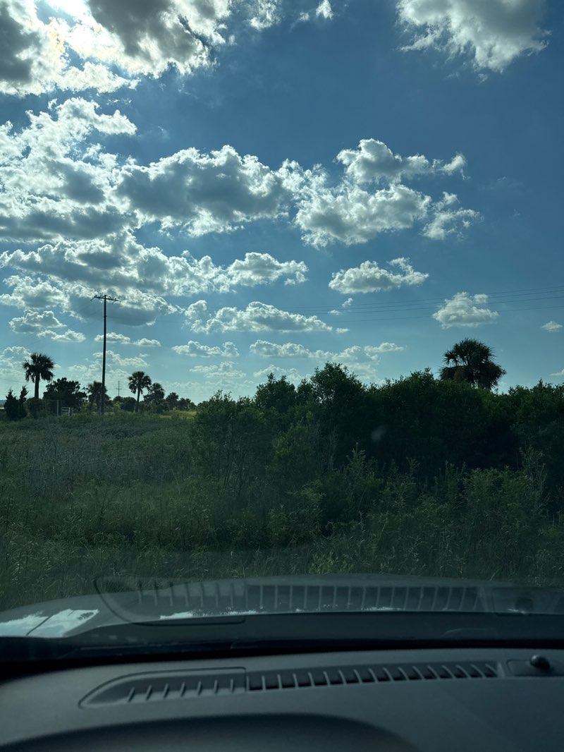 walking near me in Fort Pulaski National Monument in autumn