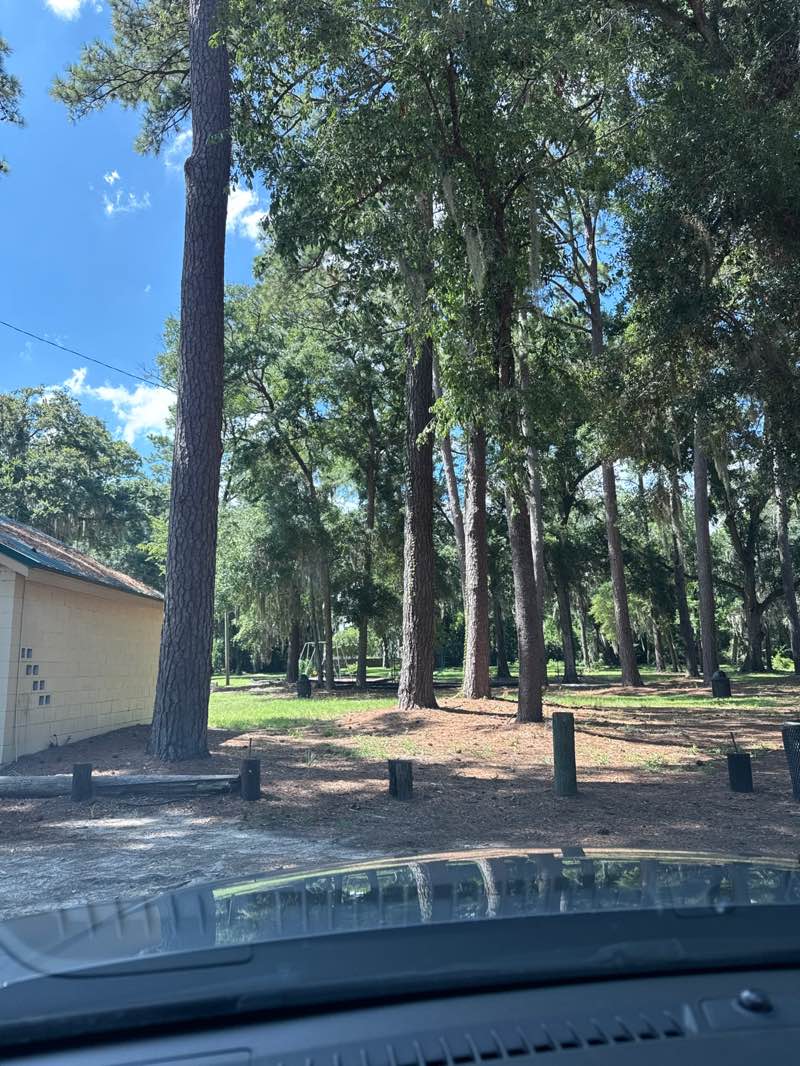 walking near me in Wilmington Island Community Park in autumn