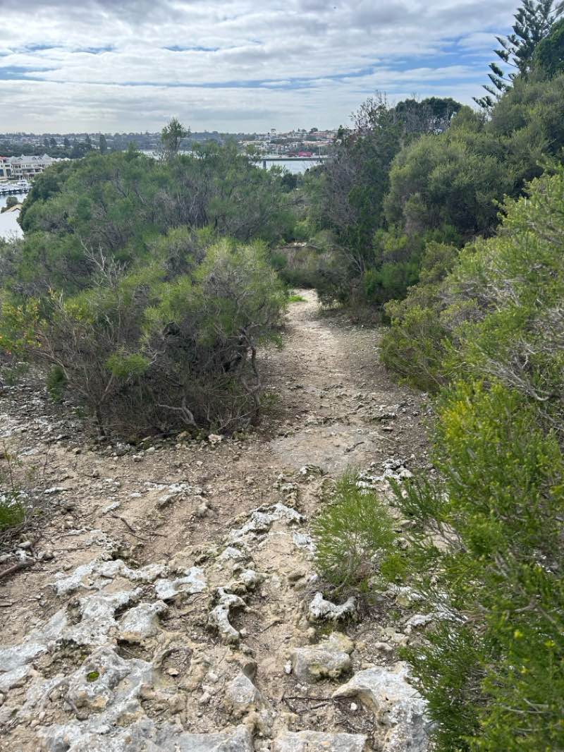 walking near me in Buckland Hill Reserve in winter