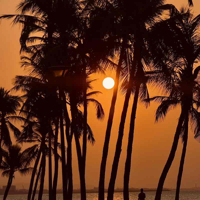 Majid  Alrashdi-MCC post 1