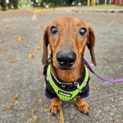 Sikatuna Bliss Fitness Friends Luvielyn post image