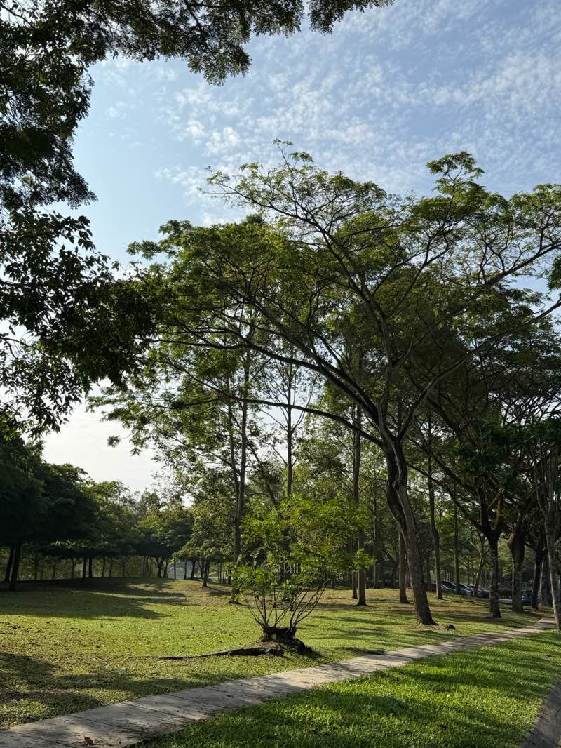 walking near me in Adda Height Park in autumn