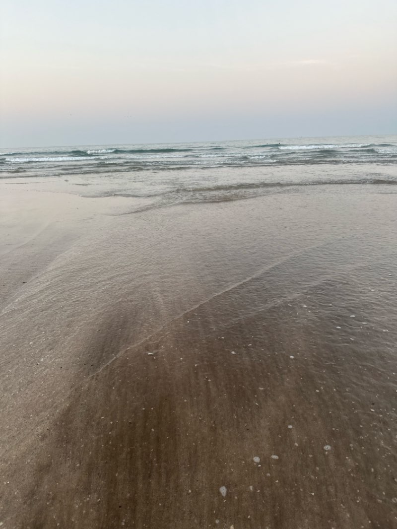 walking near me in Athaiba Public Park in autumn