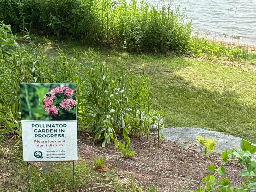 walking near me in Oldtown Wells/Pumping Station in summer