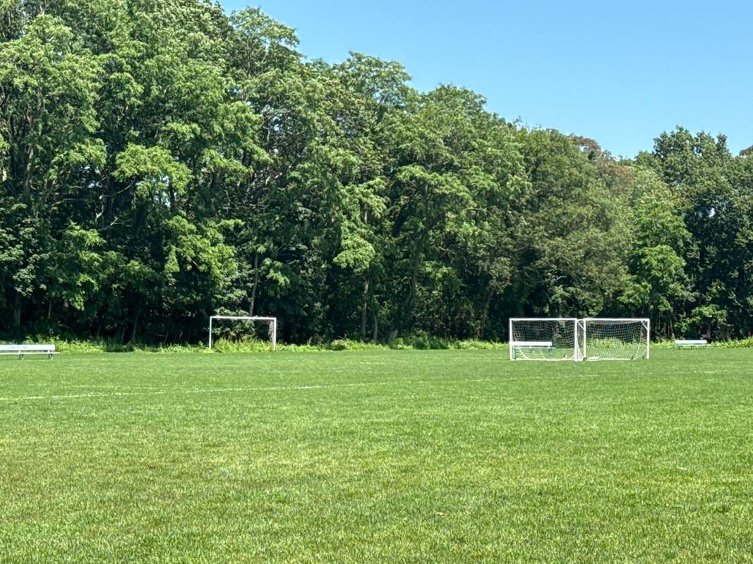 walking near me in Wildewood Park in summer