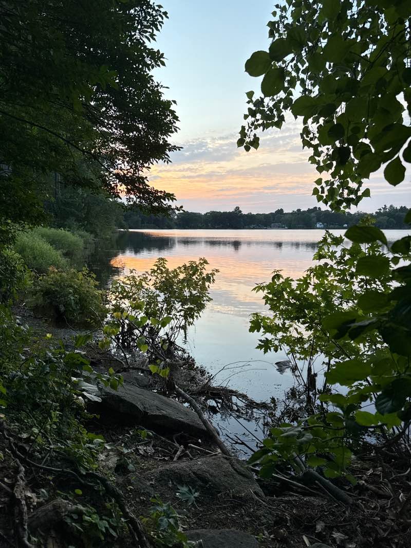 walking near me in Newhall Memorial Park in summer