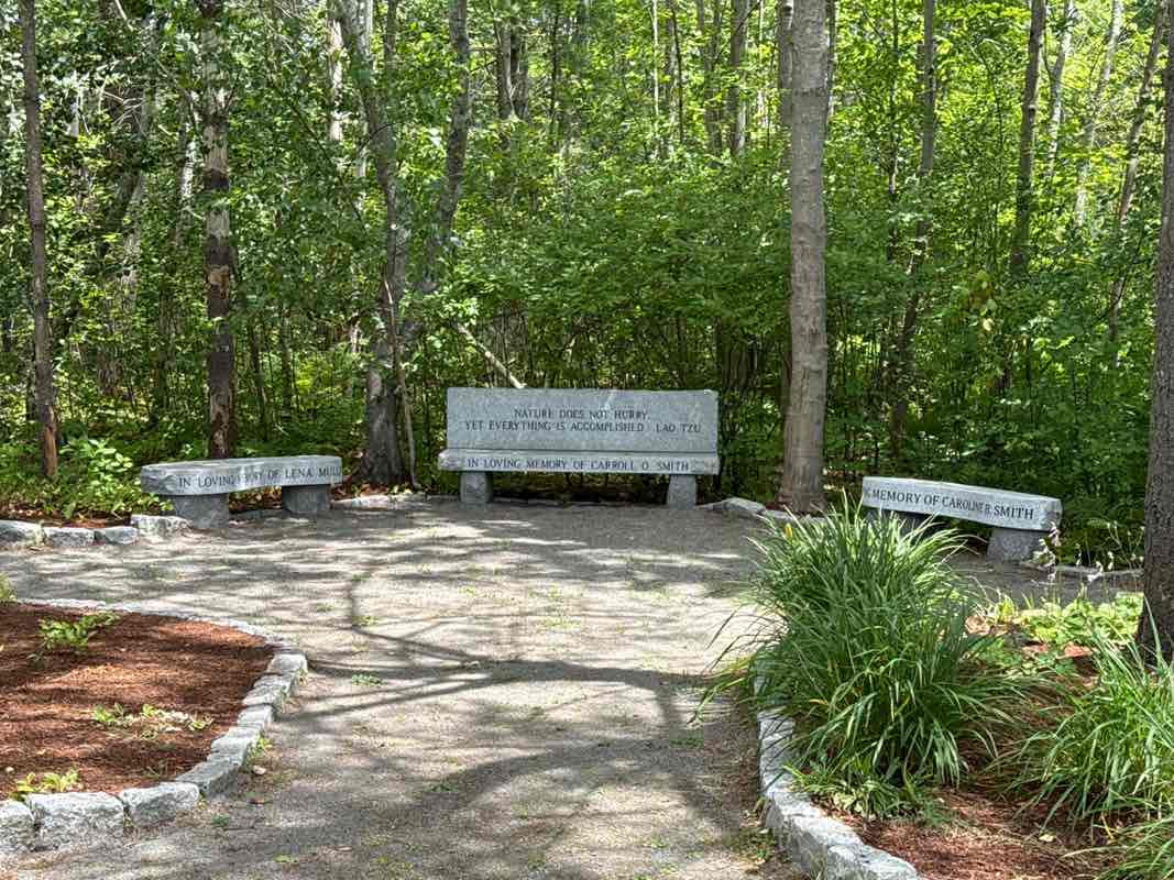 walking near me in Ipswich River Park in autumn