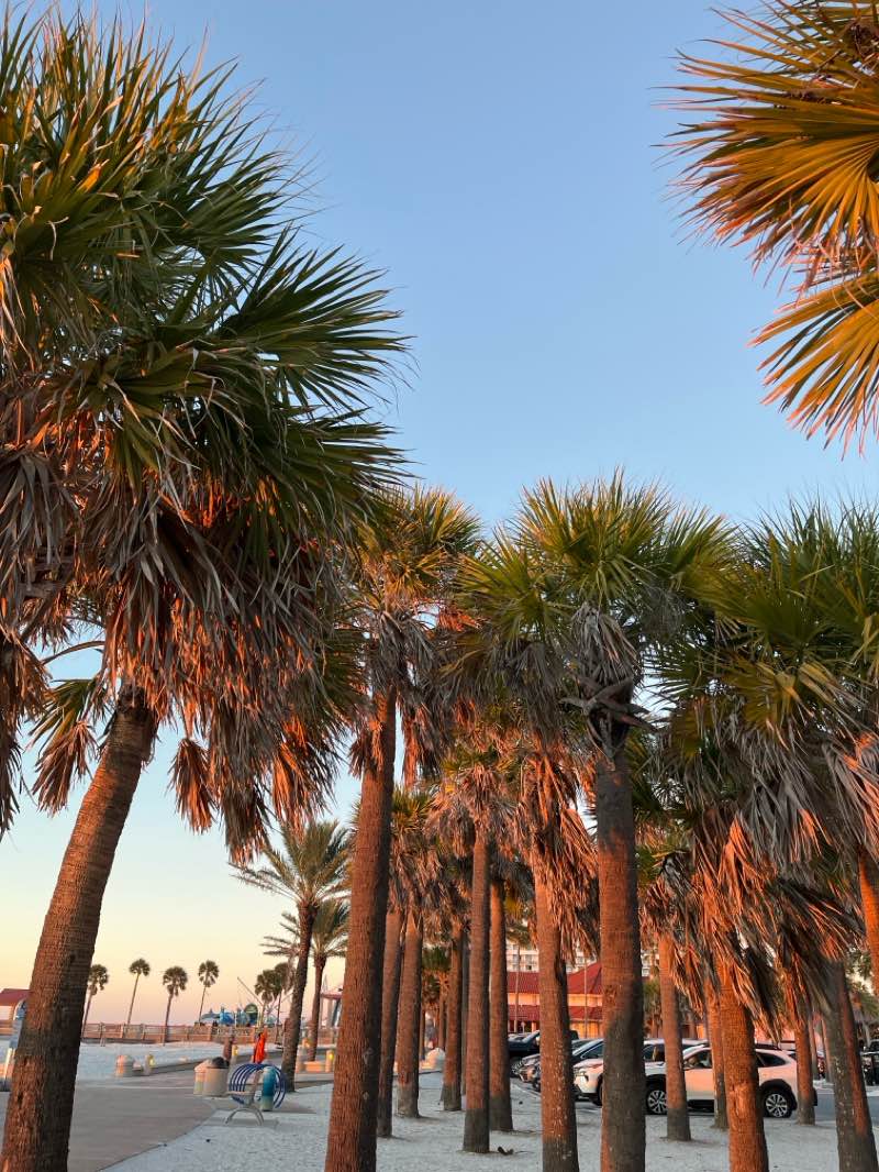 walking near me in Mandalay Park in winter