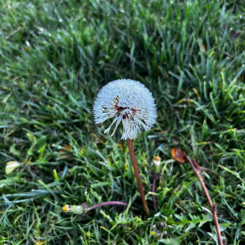 Graciela post 3