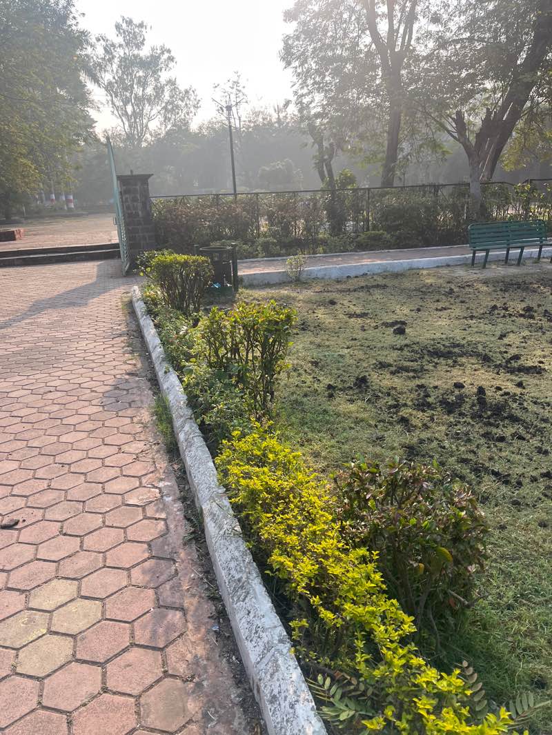 walking near me in Mayur Park in winter