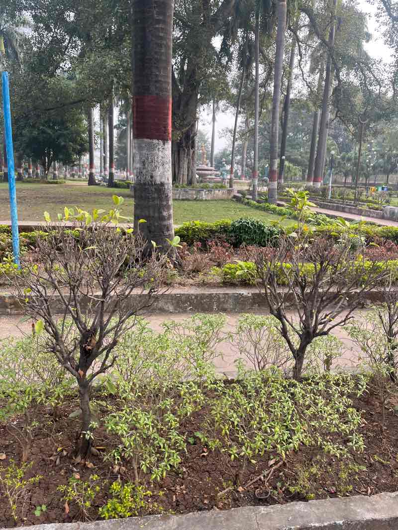 walking near me in Rani Kamlawati Park in winter