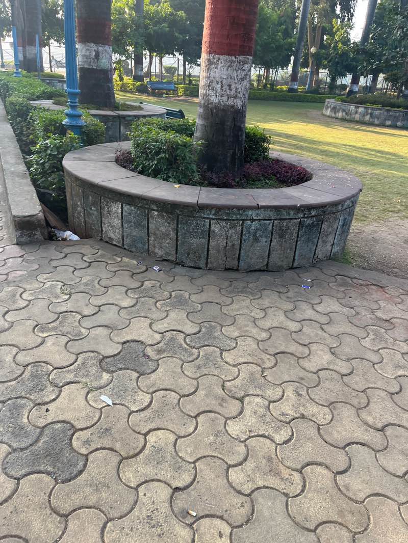 walking near me in Shahpura Park in winter