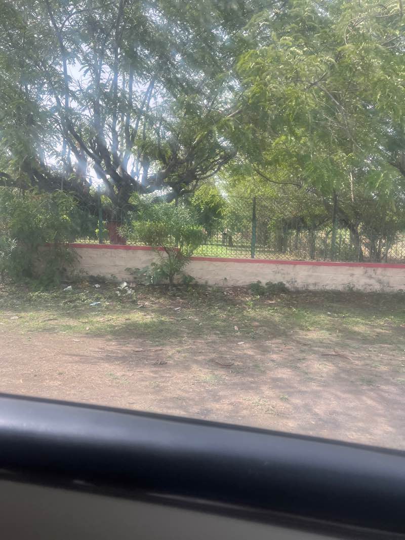 walking near me in Traffic Park in spring