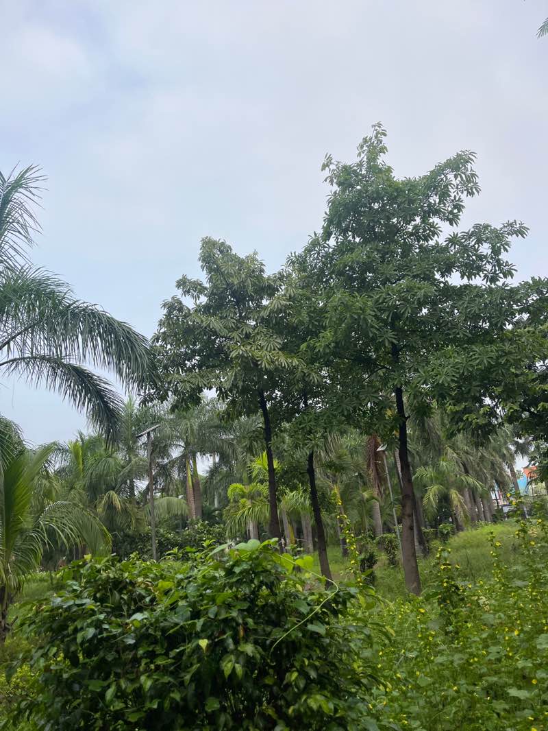 walking near me in udaan park in autumn