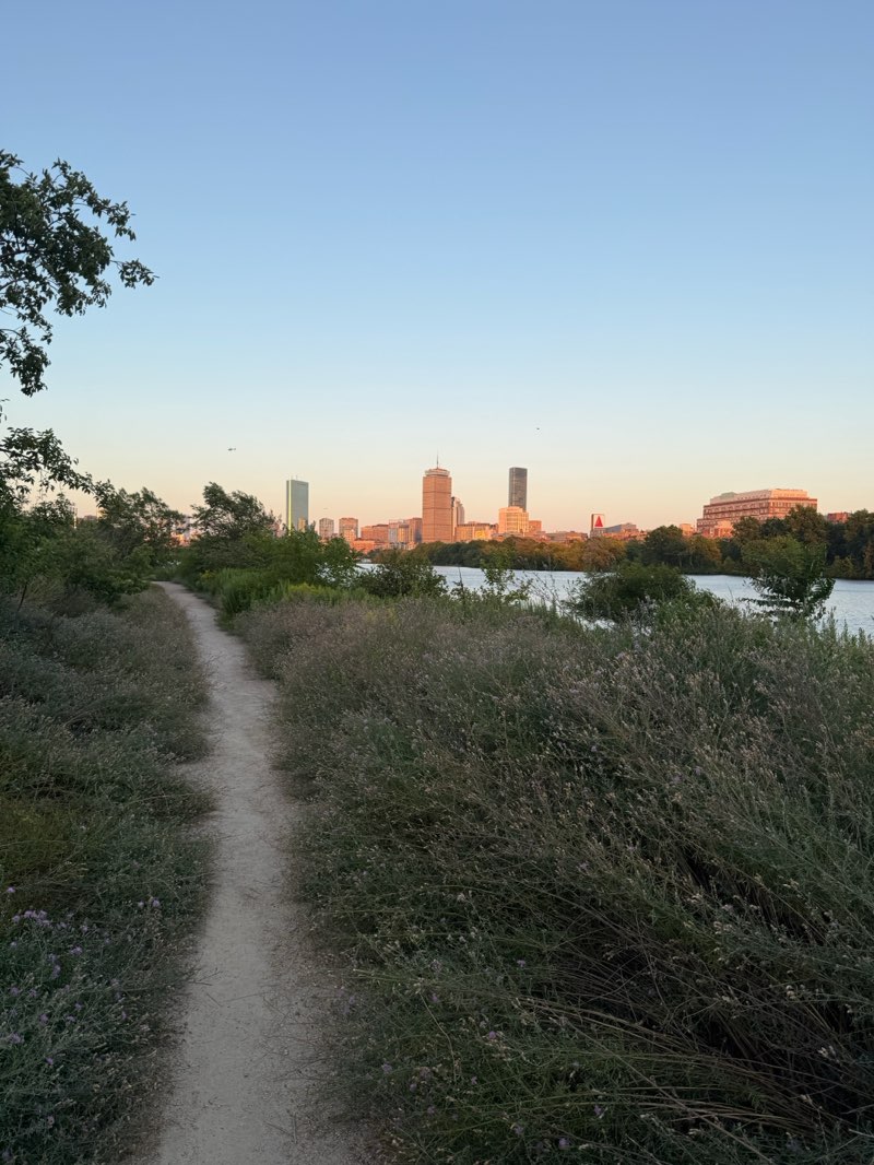 walking near me in Cambridge Parkway in autumn