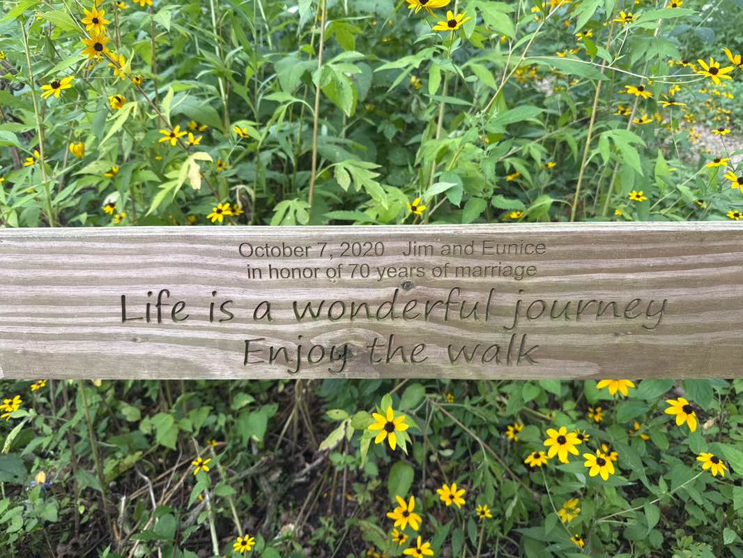 walking near me in Wexford Park in autumn