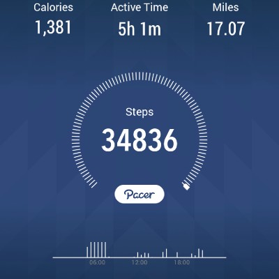 Juane Flippings post 1