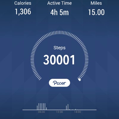 Juane Flippings post 1