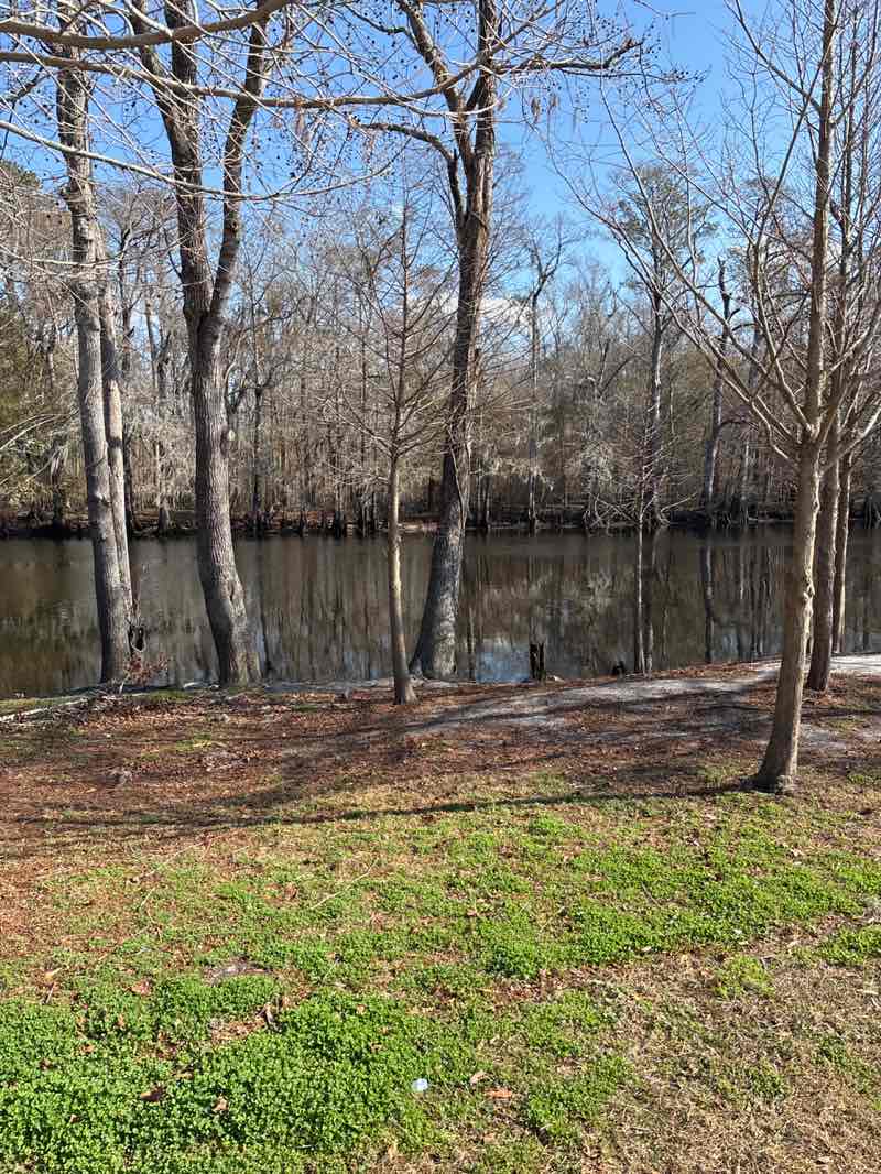 walking near me in Riverwalk Park in winter