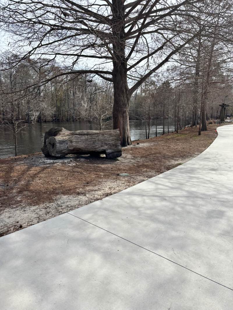 walking near me in Riverwalk Park in winter
