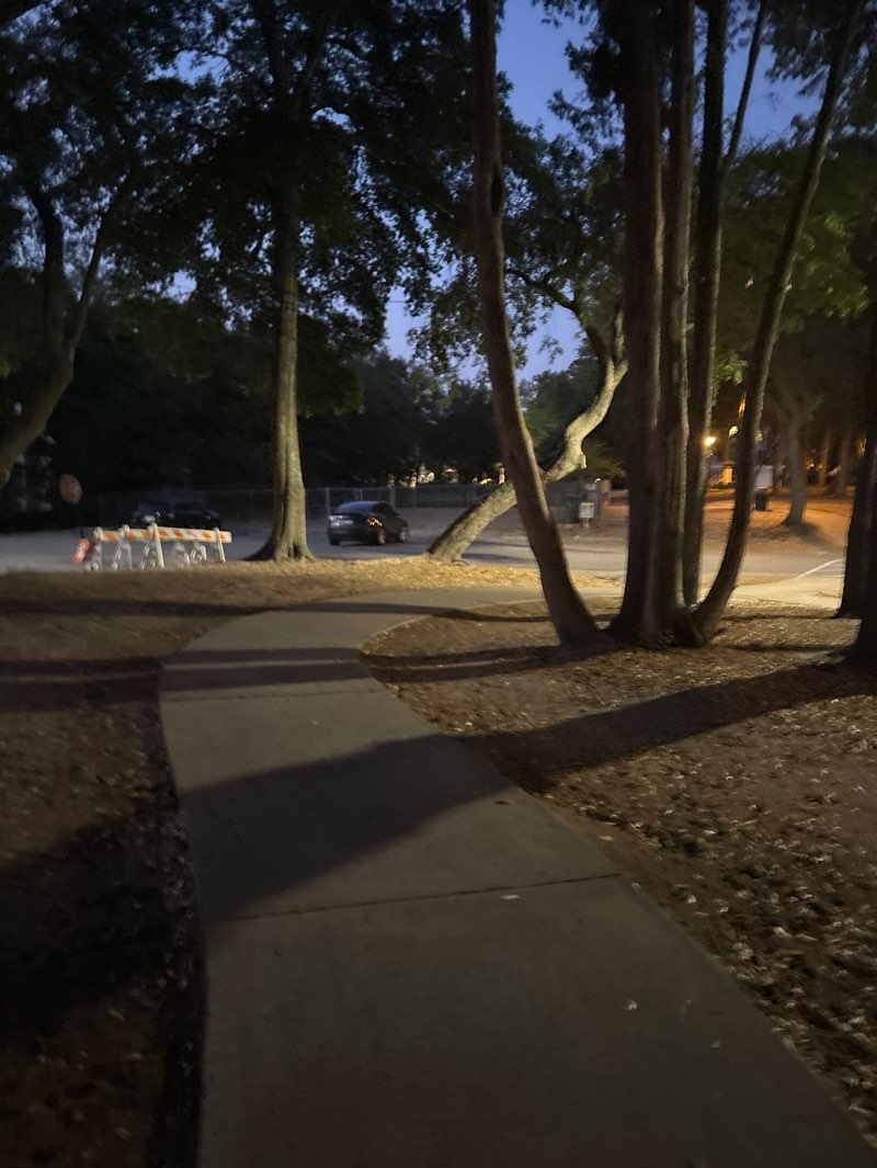 walking near me in Fuller Park in spring