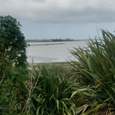 Derek Solomona post 2