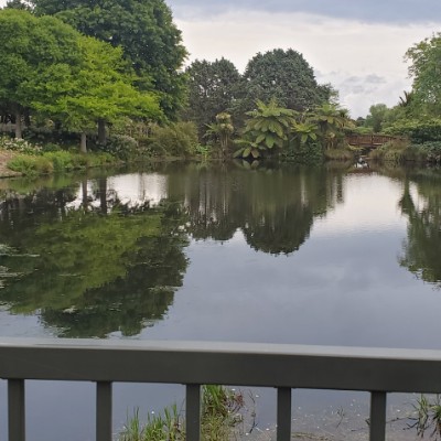 Derek Solomona post 3