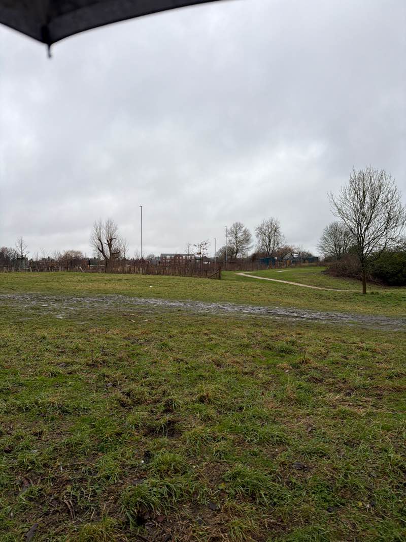 walking near me in Penny Pie Park in winter