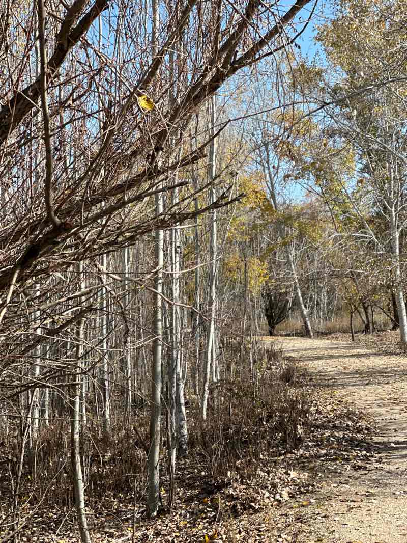 walking near me in Parque del Castillo in winter