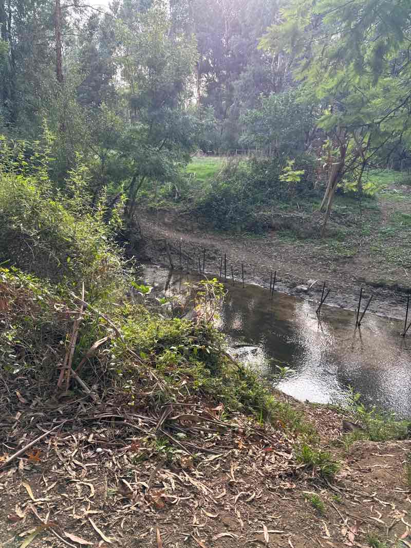 walking near me in Coronation Park in autumn